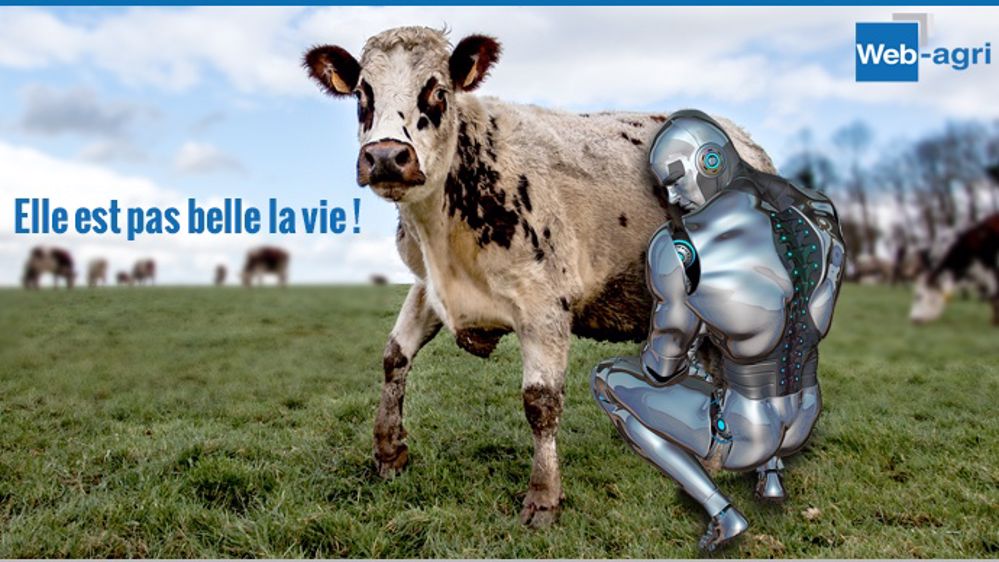 Quand le robot s’en va dans les pâturages