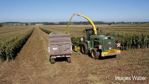 C. Guéguen (Icoopa) : « Bien anticiper sa stratégie de développement » C. Guéguen (Icoopa) : « Bien anticiper sa stratégie de développement »