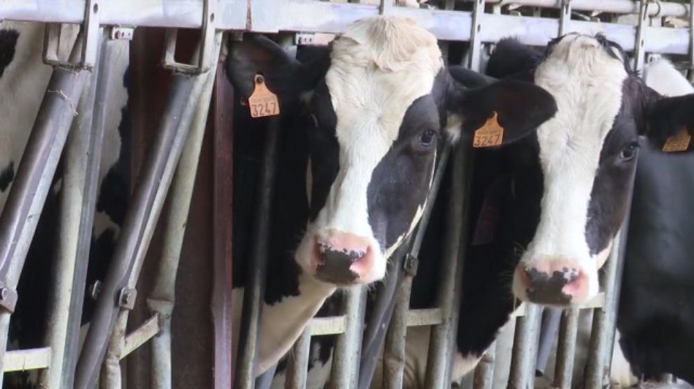 Hervé Morainville (Btpl) : « Rester maître de son projet pour ne pas le subir »