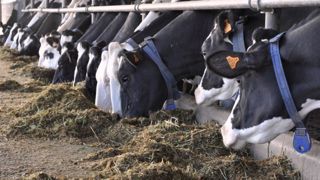 Un gain de 2 litres/VL/j avec l'extrait végétal Axion Start selon Ccpa Un gain de 2 litres/VL/j avec l'extrait végétal Axion Start selon Ccpa