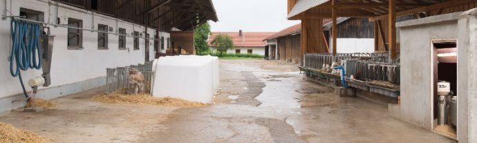 Sur la gauche une rangée de niches alimentée par le bras, sur la droite des niches collectives alimentées par le Dal.