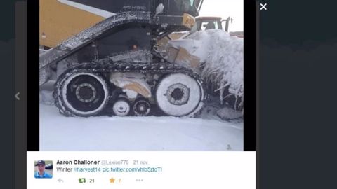 Une récolte du maïs sous la neige, impressionnant