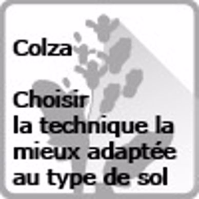 Implantation du colza