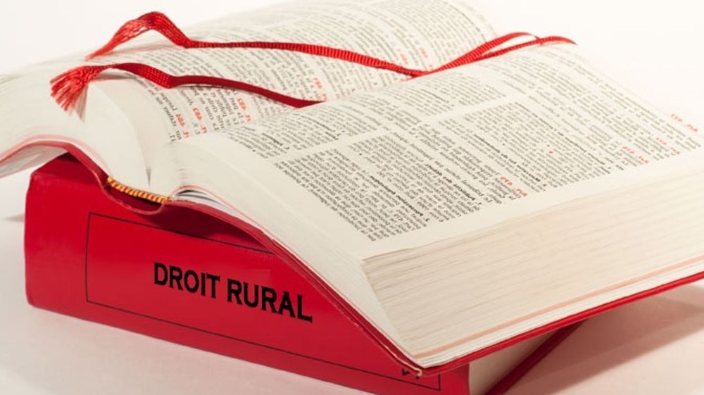 Aux Usa, les producteurs laitiers protégés par des assurances « marges brutes »