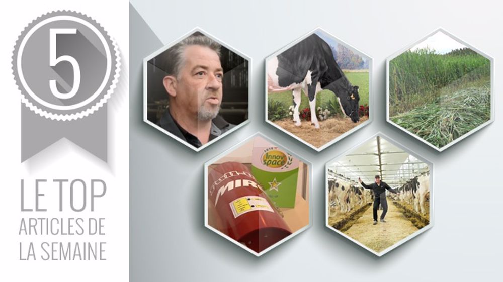 Vos cinq sujets préférés de la semaine