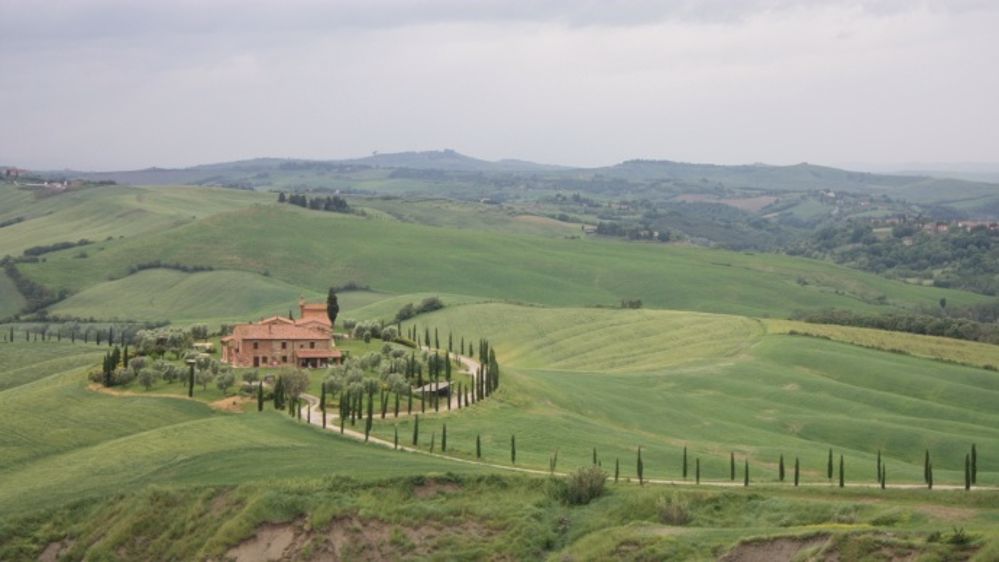 L’Italie soutiendra davantage sa production bovine