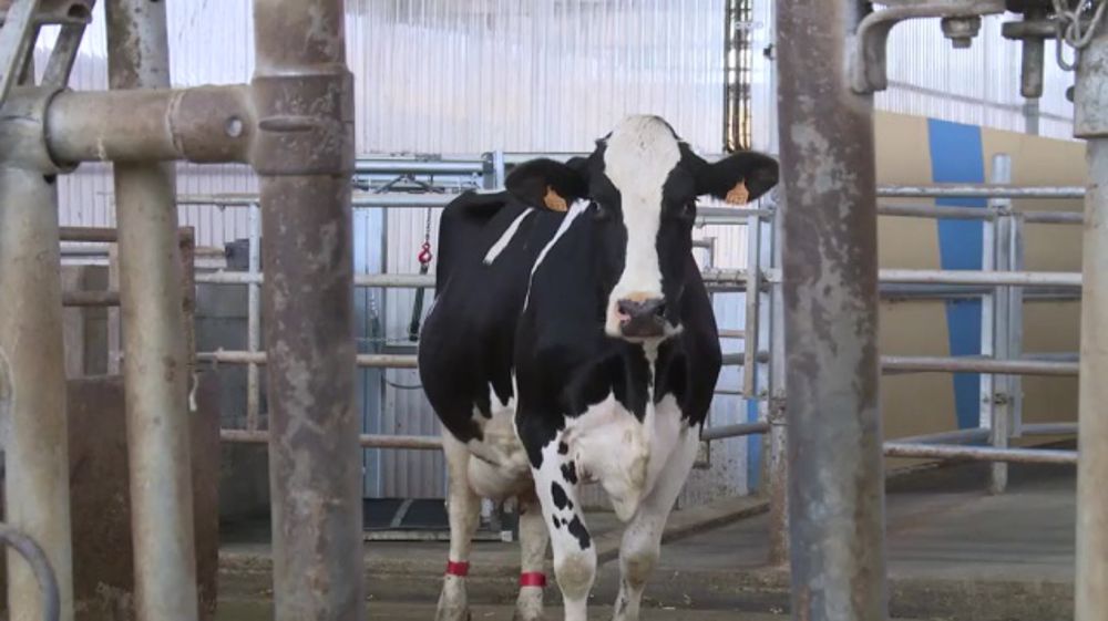 Bertrand Debotz : « Fournir un conseil indépendant et facilement interprétable »