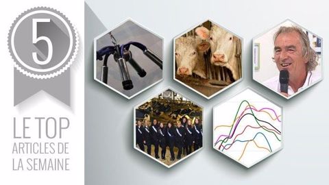 Les 5 articles les plus lus de la semaine sur Web-agri Les 5 articles les plus lus de la semaine sur Web-agri