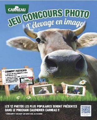 Concours Carneau