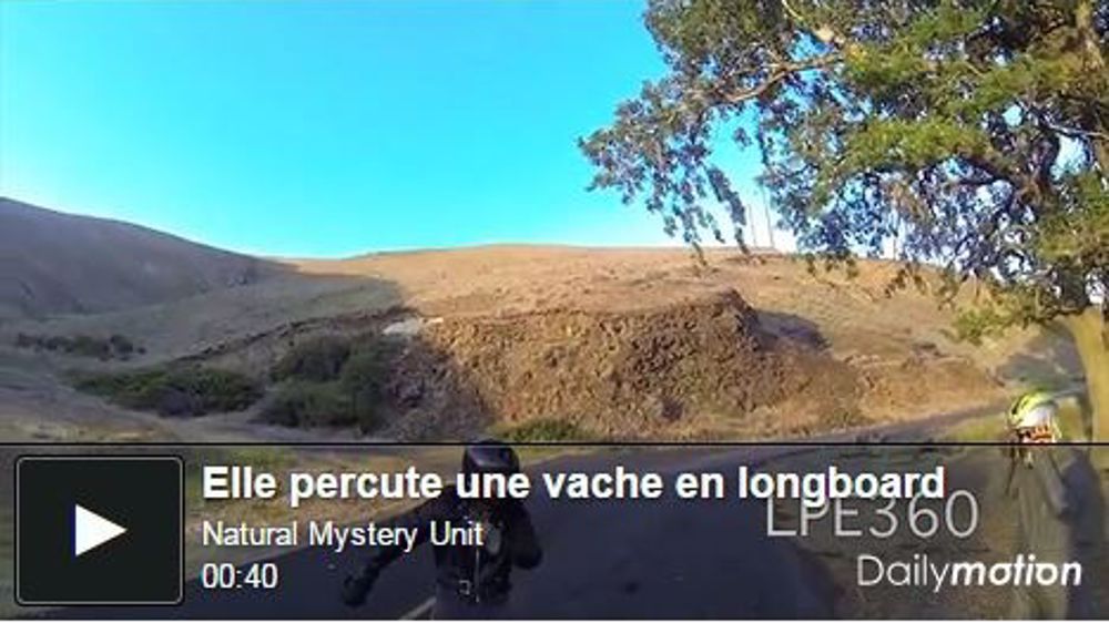 Elle percute une vache....