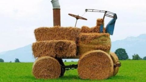 En Belgique, la Wallonie verse 18,8 % des aides directes aux vaches viandeuses