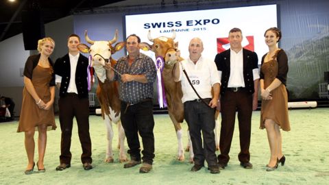 Palmarès du concours Swiss Fleckvieh