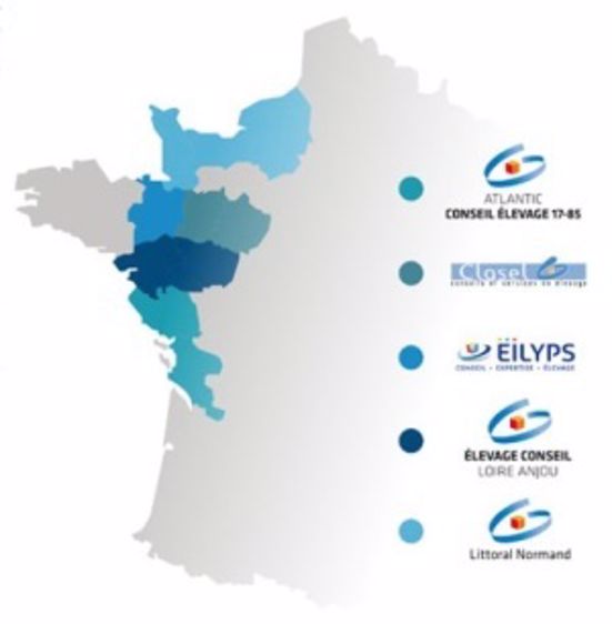 Cinq entreprises de Normandie et Pays de Loire s’unissent et forment Seenergi