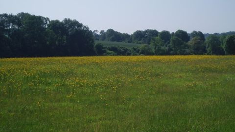 Les céréaliers concernés par les prairies permanentes