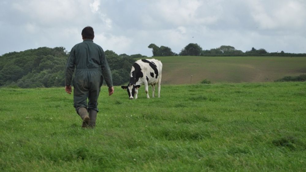 Le nombre de dépôts de bilan en agriculture a explosé en 2014