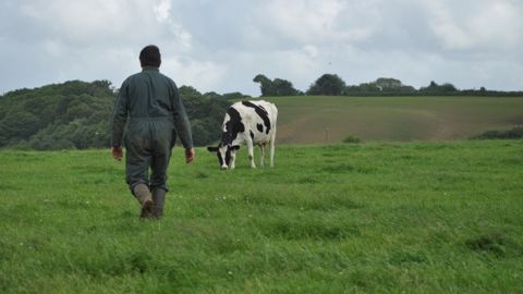 Le nombre de dépôts de bilan en agriculture a explosé en 2014 Le nombre de dépôts de bilan en agriculture a explosé en 2014