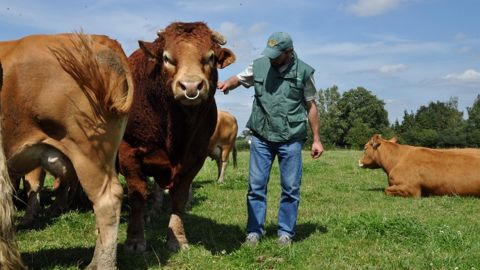 La production baisserait de 1 % en Europe en 2015 La production baisserait de 1 % en Europe en 2015