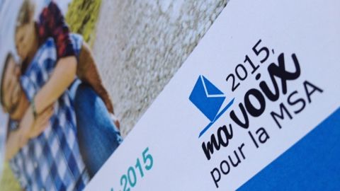 Seulement 31 % des électeurs ont participé au scrutin