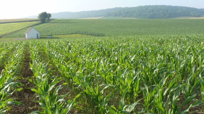 Bassin d'alimentation de captage d'eau