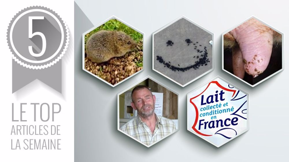 Les 5 sujets les plus lus de la semaine sur Web-agri Les 5 sujets les plus lus de la semaine sur Web-agri