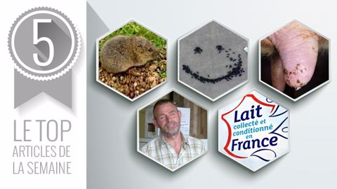 Les 5 sujets les plus lus de la semaine sur Web-agri Les 5 sujets les plus lus de la semaine sur Web-agri