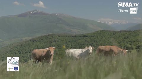 Quand l'aérospatiale facilite le travail des éleveurs
