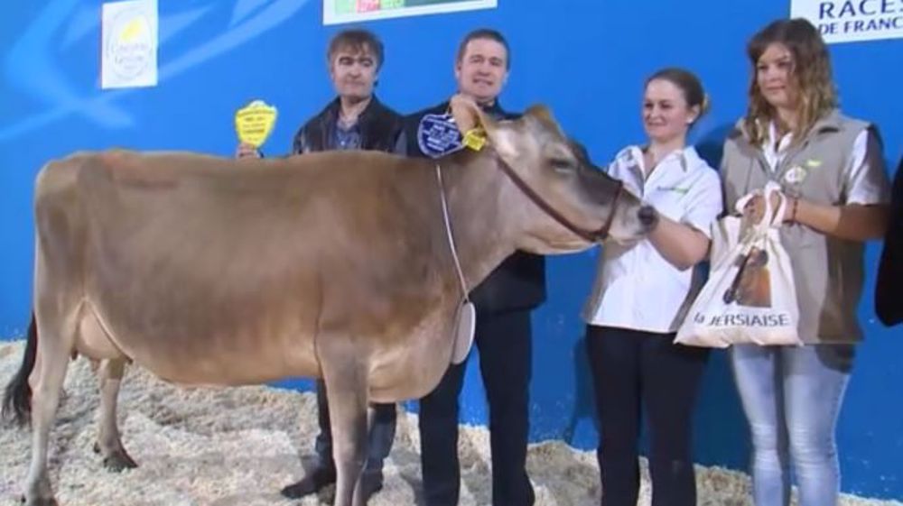 Garçonne sacrée grande championne