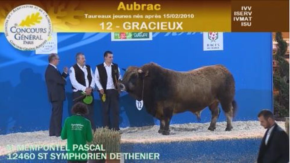 Gracieux et Frezade l'emportent à Paris