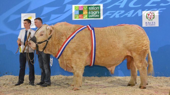 Grenadier (Drakkar x Abeille) au Gaec Micaud de l'Allier.