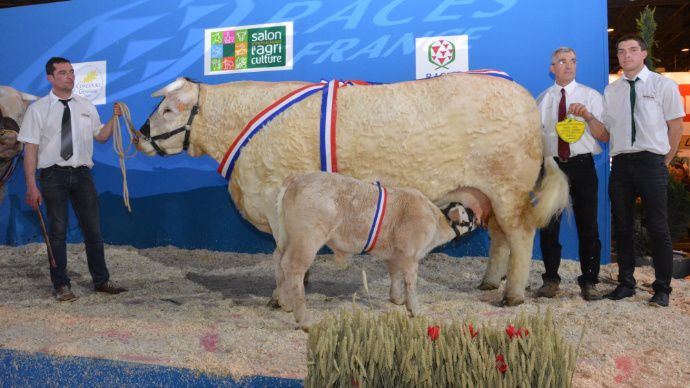 Delphine (Black Out x Touraine) au Gaec Richard (85)