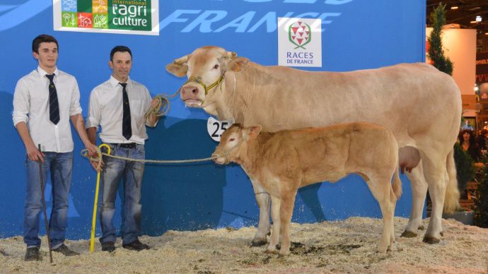Escadrille (Calinou x Apoline) au Gaec de Belloc (32)