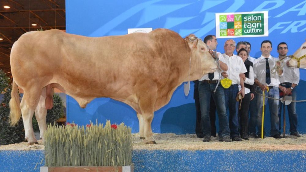 Gaillard et Escadrille, les plus beaux blonds de France