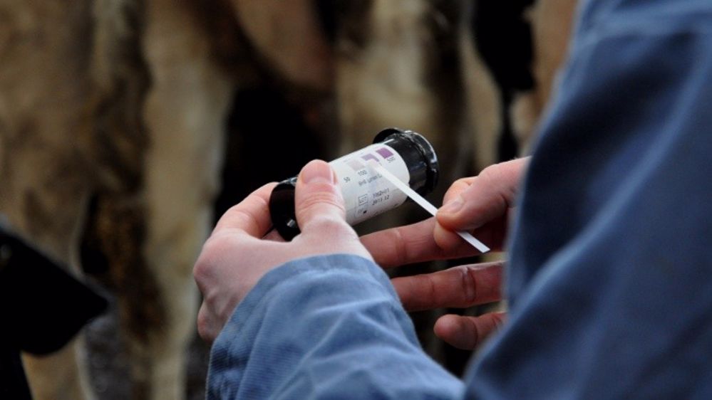 Coachlait est dorénavant habilité à officialiser les lactations