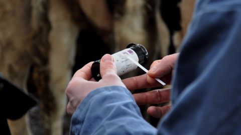 Coachlait est dorénavant habilité à officialiser les lactations