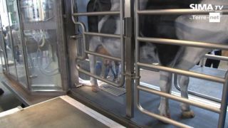Le bras du MR-D1 trait plus d’une centaine de vaches par l’arrière Le bras du MR-D1 trait plus d’une centaine de vaches par l’arrière
