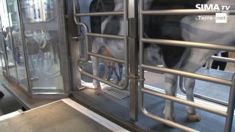Le bras du MR-D1 trait plus d’une centaine de vaches par l’arrière Le bras du MR-D1 trait plus d’une centaine de vaches par l’arrière