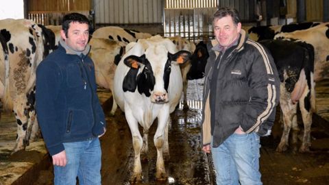 Dans le Nord, Philippe et Jean-Pierre doublent la taille de leur troupeau