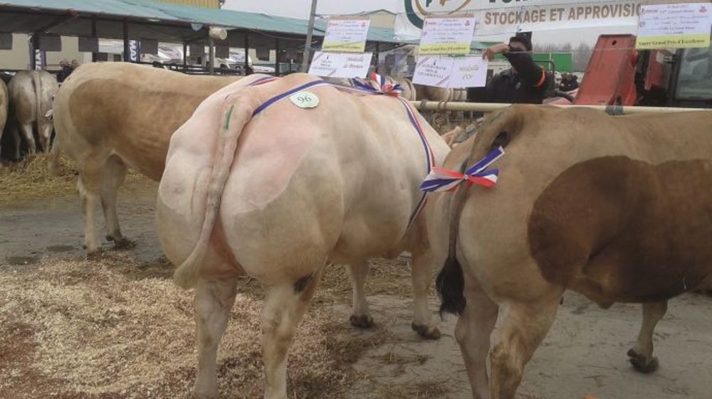 A Tonnay-Boutonne - Une présentation plus modeste