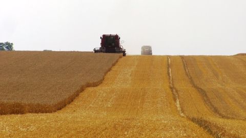 La moisson en Picardie. (©Terre-net Média.)