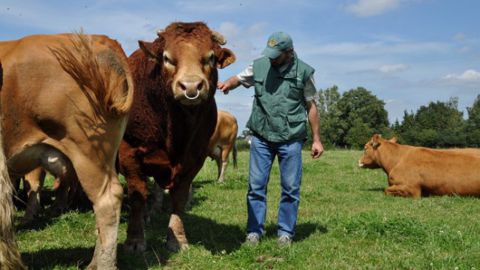 Kbs Genetic exporte des reproducteurs français à travers le monde Kbs Genetic exporte des reproducteurs français à travers le monde