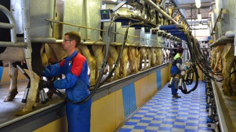31 mars 2015, journée historique et symbolique pour la filière laitière