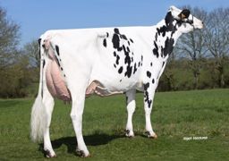 Les commentaires de Gènes Diffusion sur la sortie d’avril Les commentaires de Gènes Diffusion sur la sortie d’avril