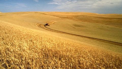 Moisson aux Etats-Unis. (©Usda.) Moisson aux Etats-Unis. (©Usda.)