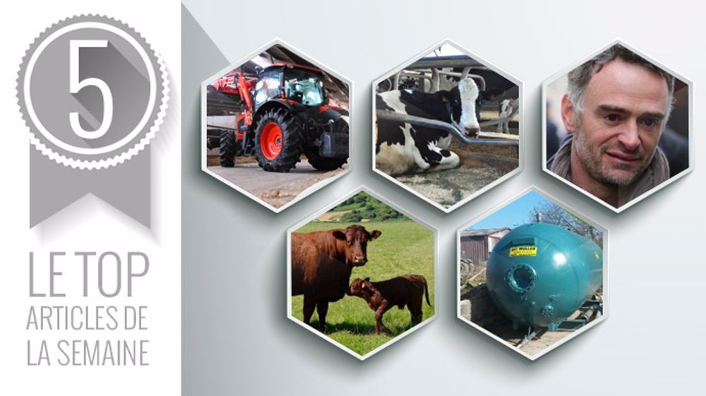 Les articles les plus lus cette semaine sur Web-agri (©Terre-net Média) Les articles les plus lus cette semaine sur Web-agri (©Terre-net Média)