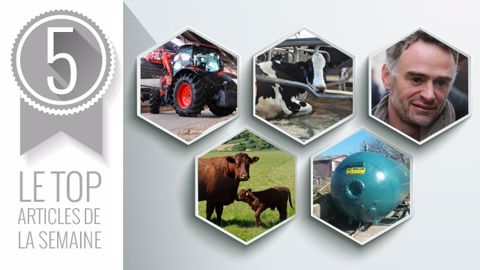 Les articles les plus lus cette semaine sur Web-agri (©Terre-net Média)