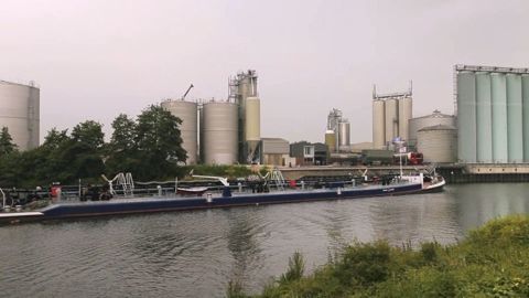 Les chiffres de l'Usda ont révélé une bonne tenue des exportations de soja. (©Terre-net Média)