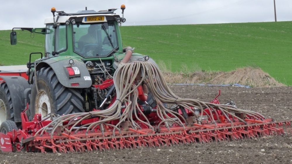 Les semis de blé avancent rapidement aux Etats-Unis mettant la pression sur les cours de la céréale. (©Terre-net Média)