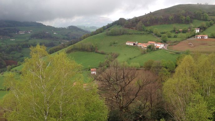 Au Pays basque, la plupart des exploitations laitières doivent composer avec des parcelles en forte pente, dépassant parfois les 50 %.