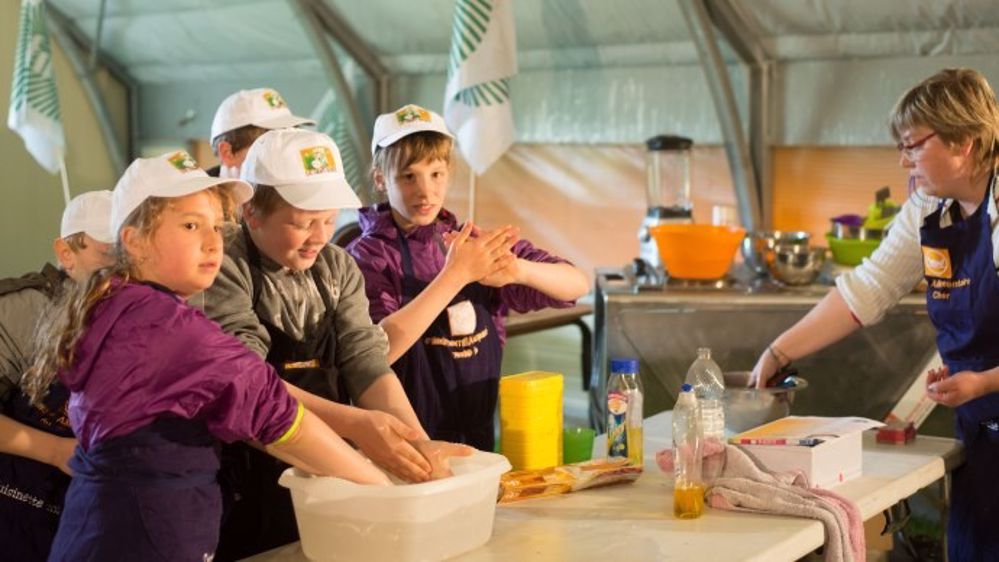 Pendant une semaine, les élèves de Cm1 et Cm2 pourront visiter une ferme et participer aux ateliers pédagogiques (©Fnsea)