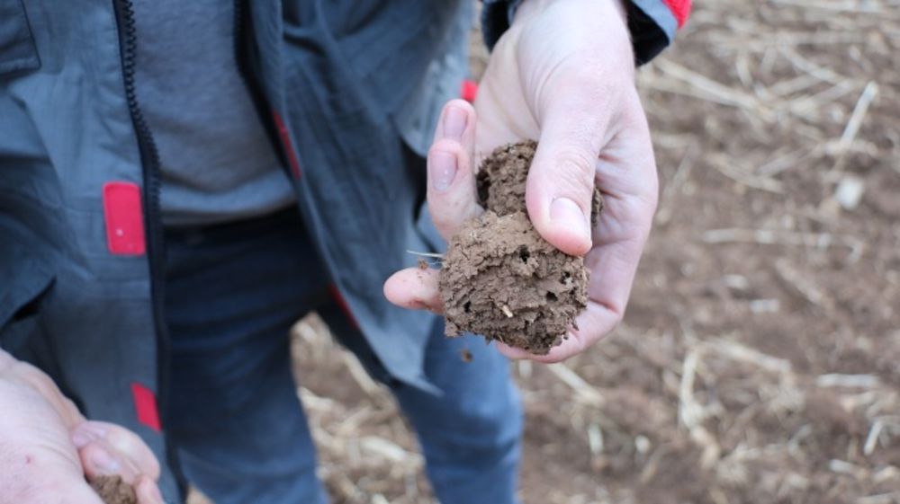 Qualité agronomique des sols (©Terre-net Média)